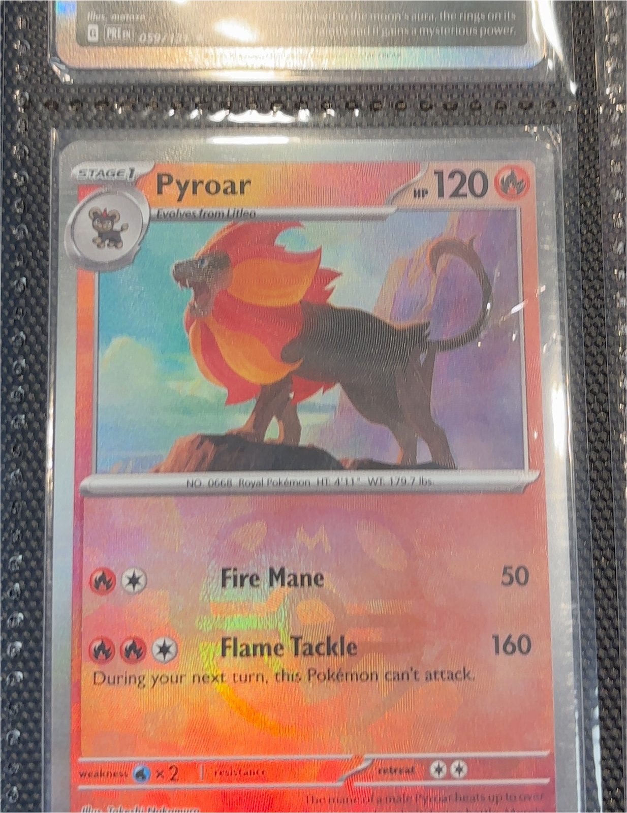2014 Pokémon XY #12 Pyroar — front