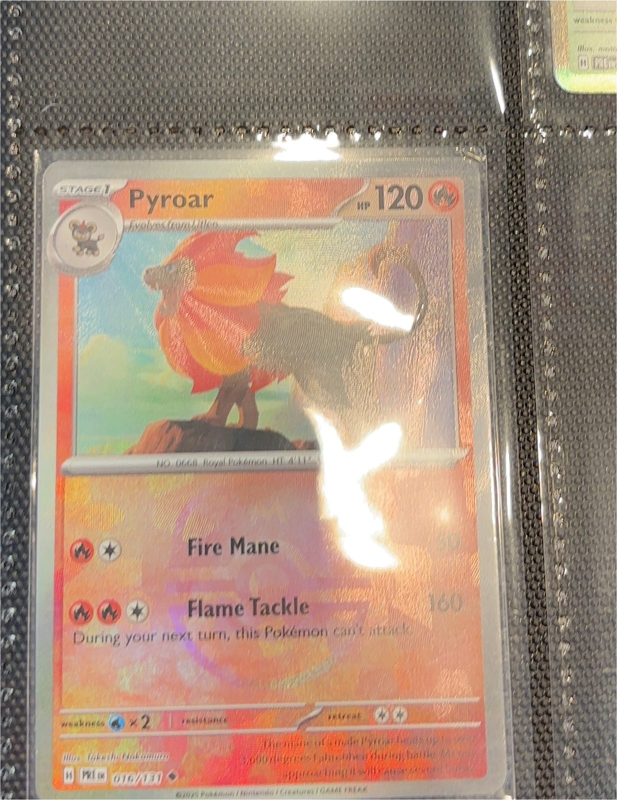 2014 Pokémon XY—Flashfire #20 Pyroar — front