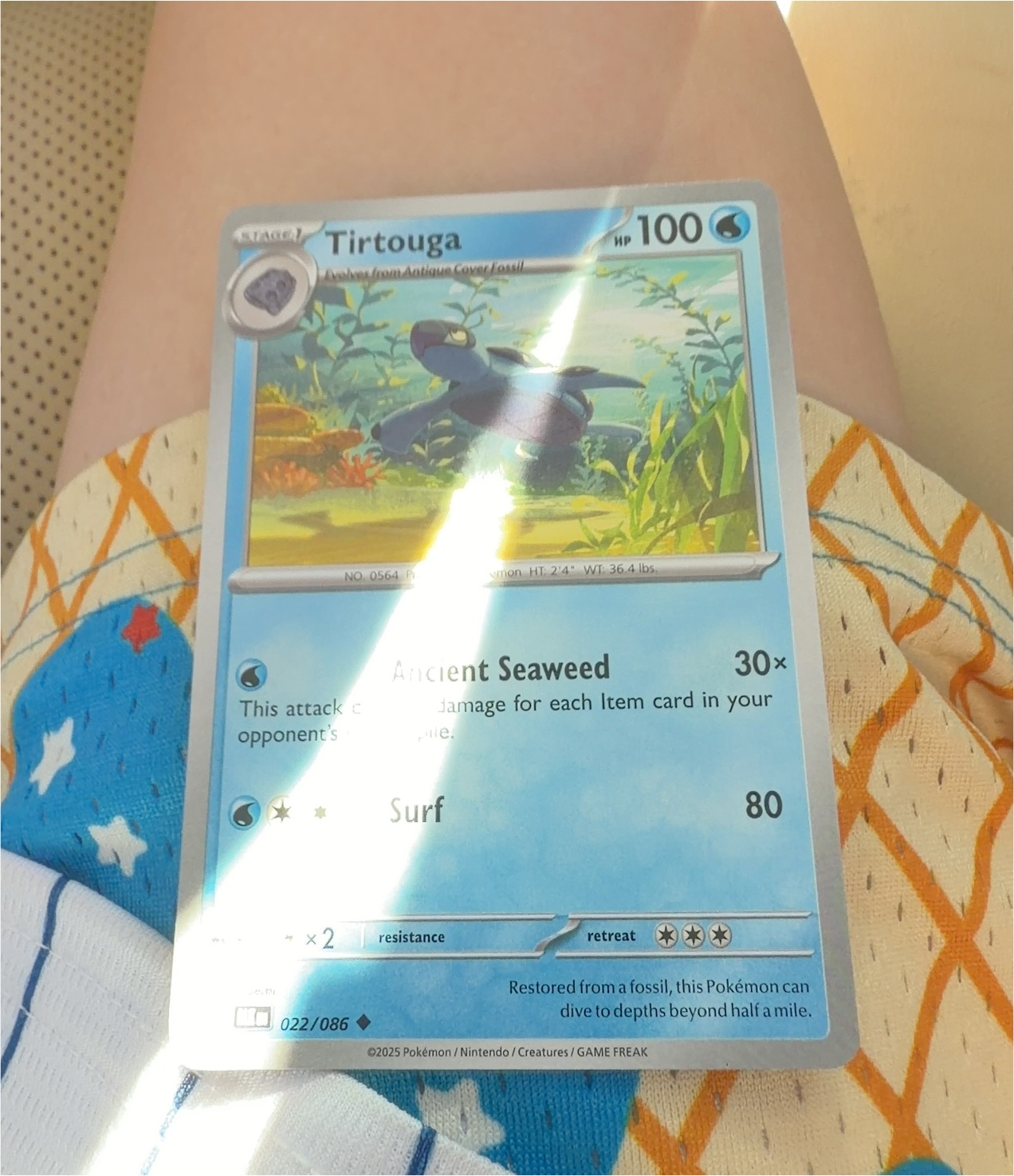 2025 Pokémon Black Bolt #022 Tirtouga — front