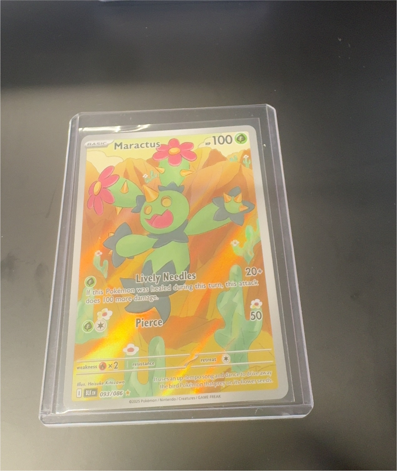 2025 Pokémon #093 Maractus — front