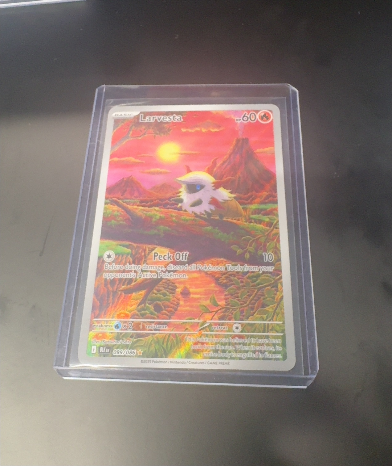 2025 Pokémon #099 Larvesta — front