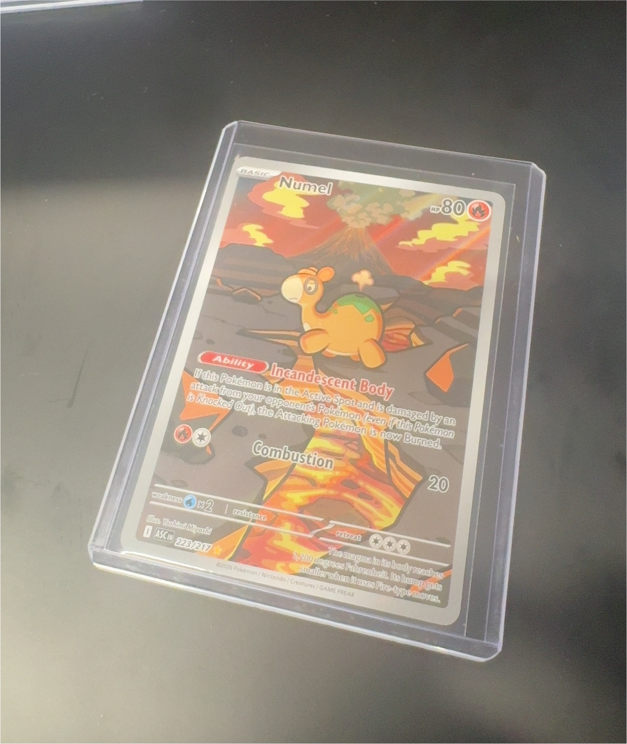 2026 Pokémon #223 Numel — front