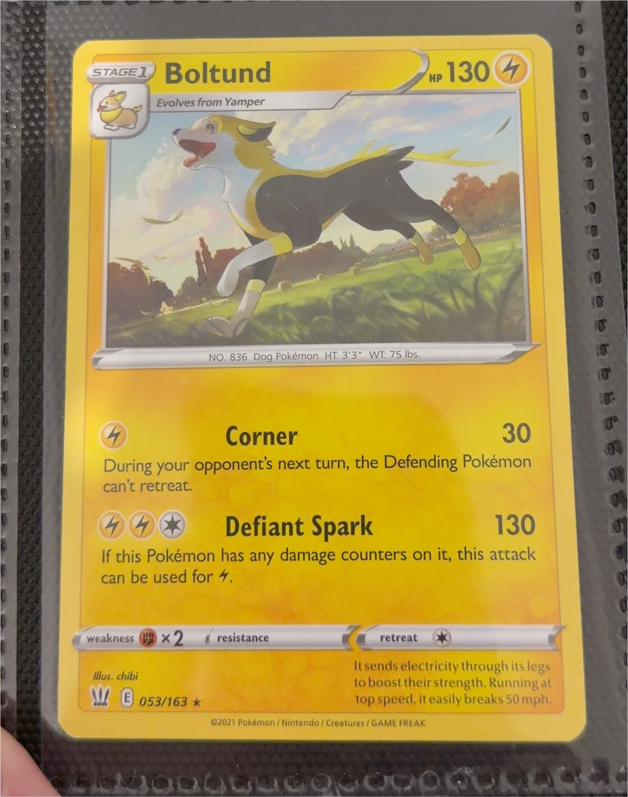 2021 Pokémon Evolving Skies #053 Boltund — front