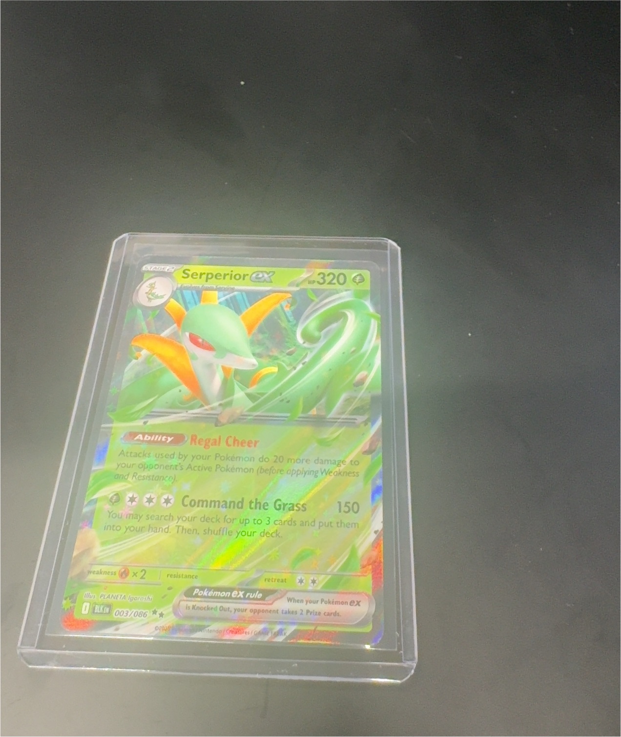 2025 Pokémon Black Bolt #003 Serperior ex — front
