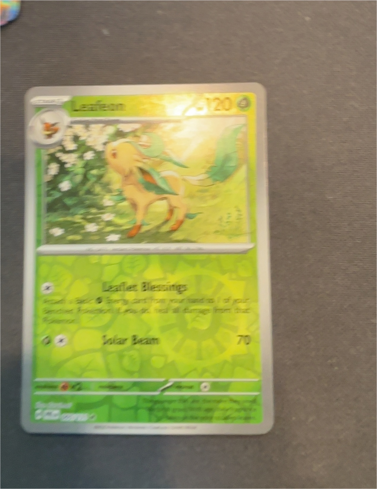 2025 Pokémon #005 Leafeon — front