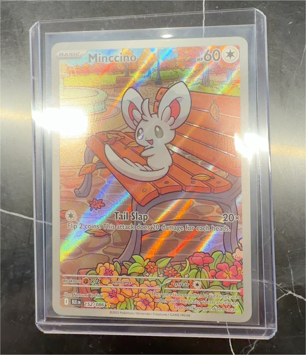 2025 Pokémon Black Bolt #152 Minccino — front