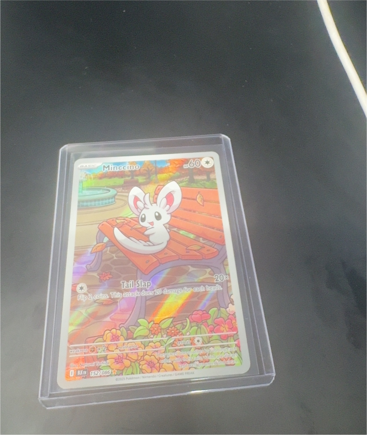 2025 Pokémon Black Bolt #152 Minccino — front