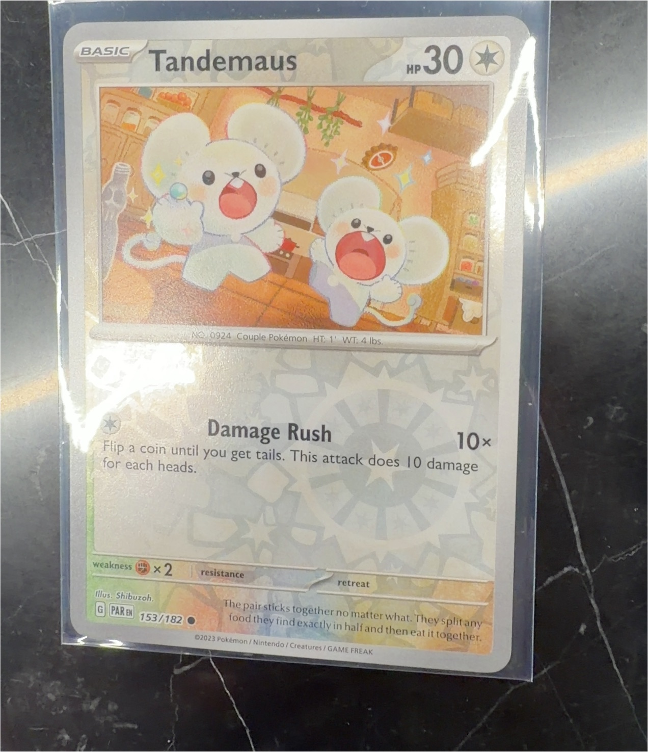 2023 Pokémon #153 Tandemaus — front
