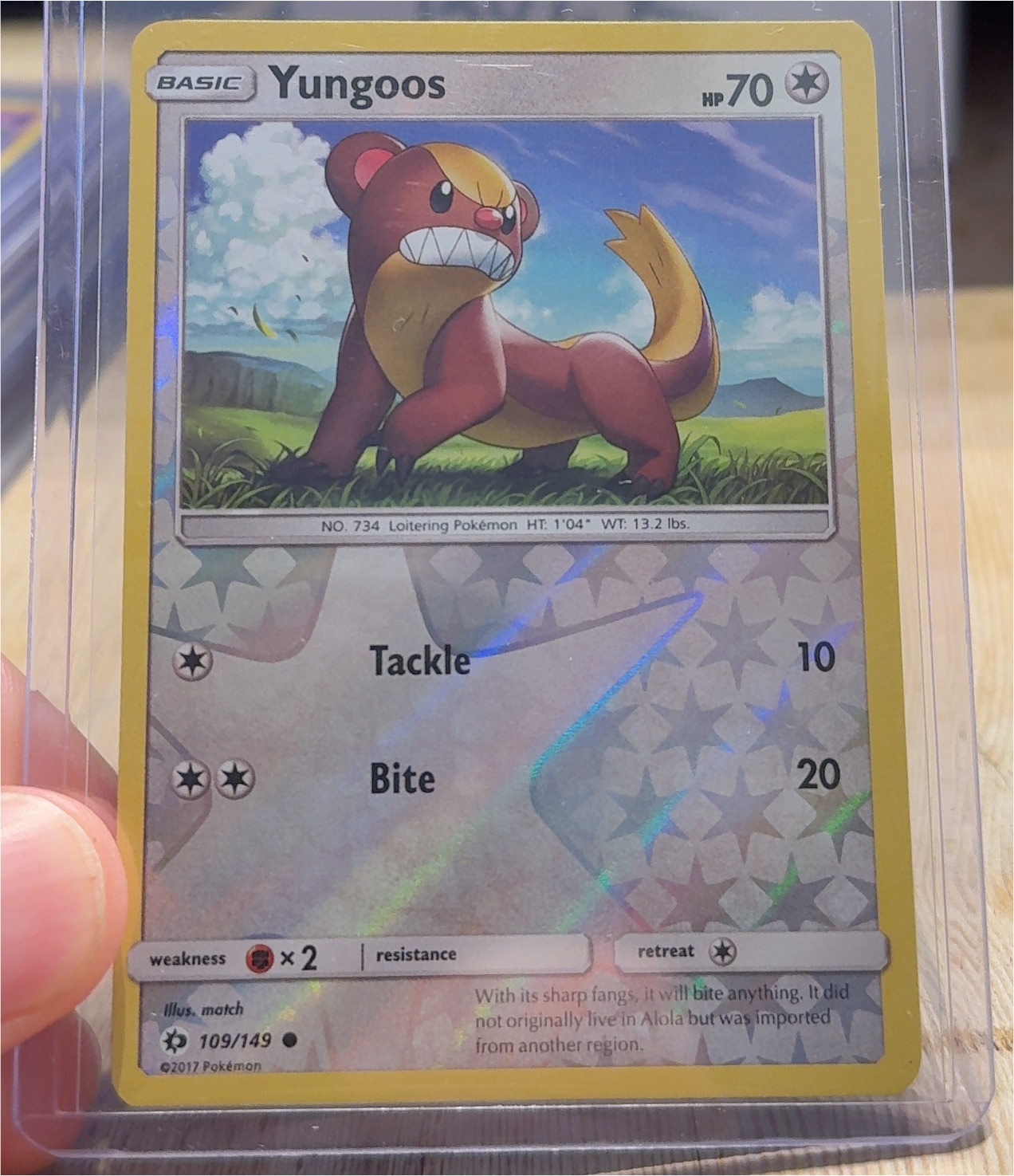 2017 Pokémon Sun & Moon #109 Yungoos — front