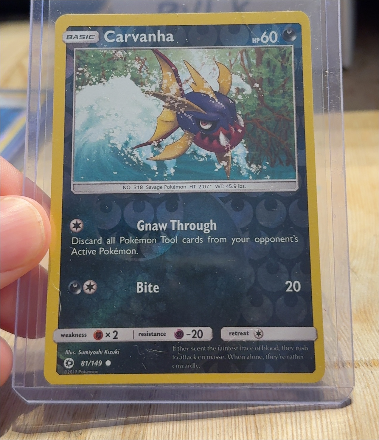 2013 Pokémon Boundaries Crossed #81 Carvanha — front