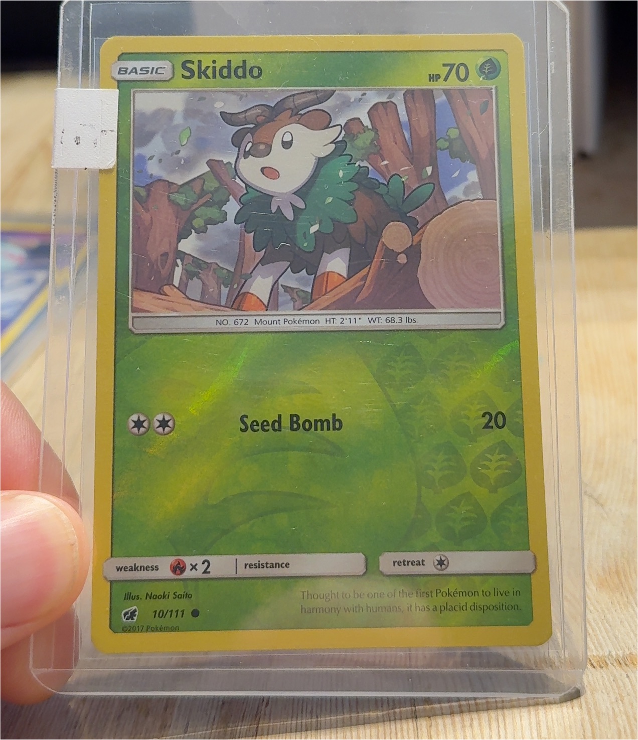 2017 Pokémon #10 Skiddo — front