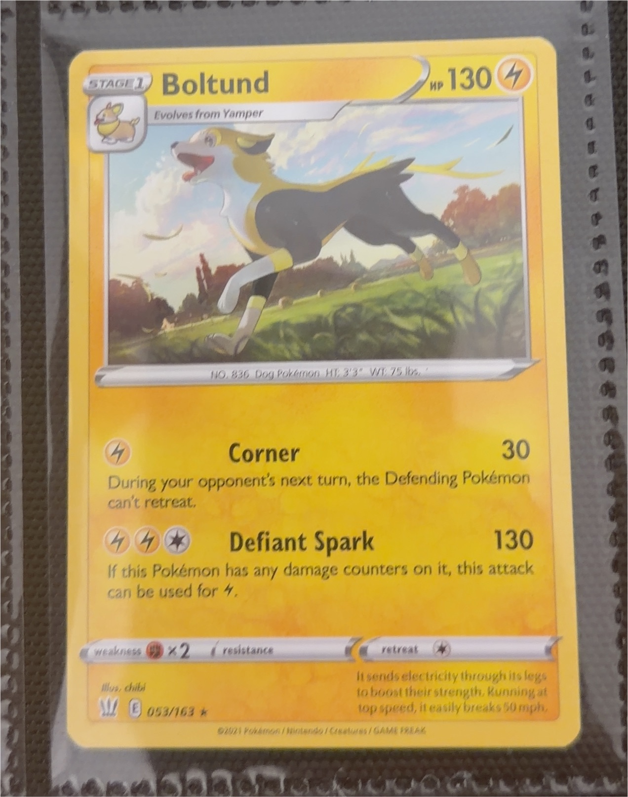 2020 Pokémon Vivid Voltage #053 Boltund — front