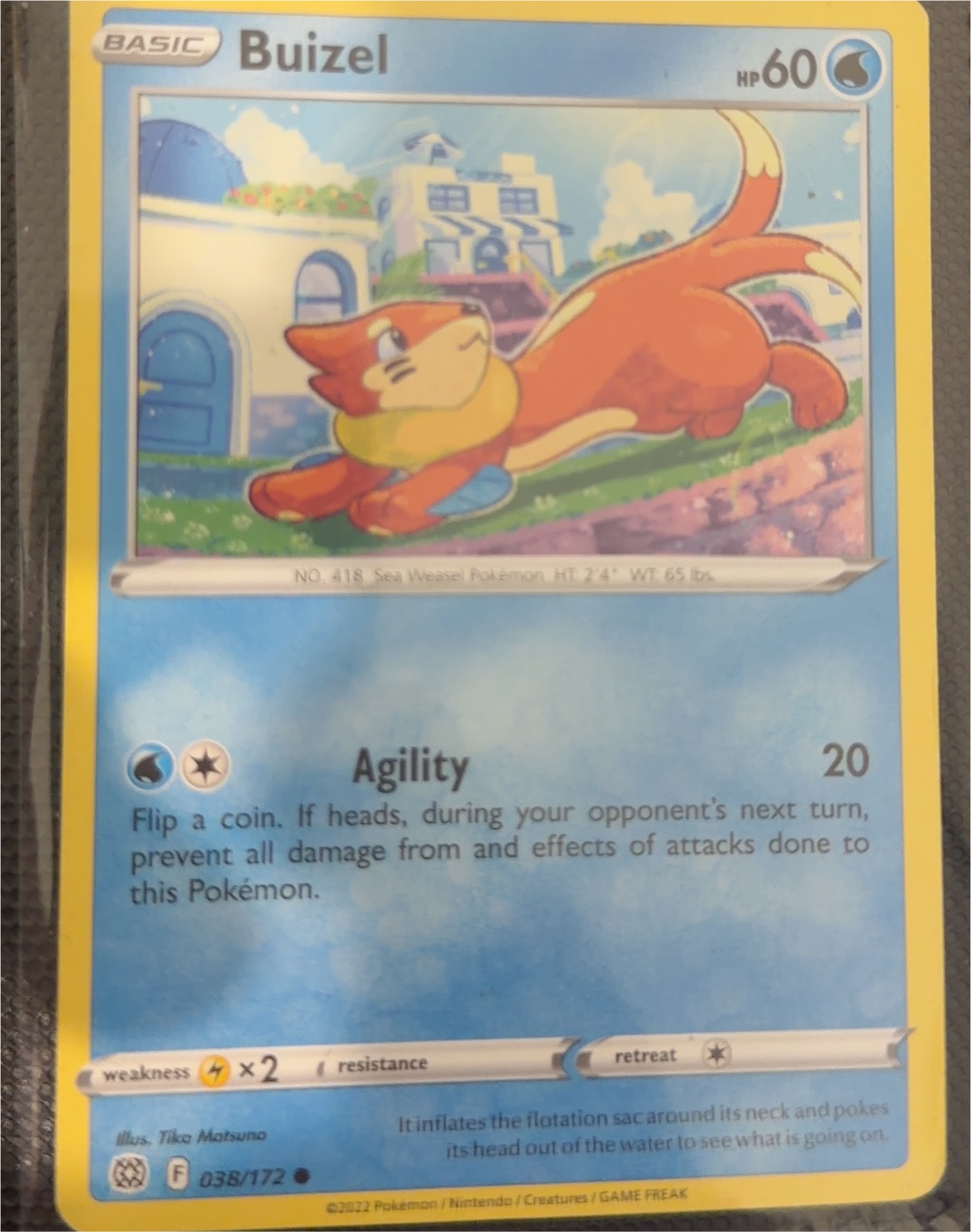 2022 Pokémon Sword & Shield—Lost Origin #038 Buizel — front