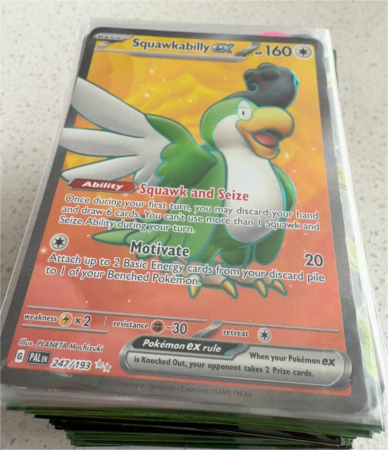 2023 Pokemon #247 Squawkabilly ex — front