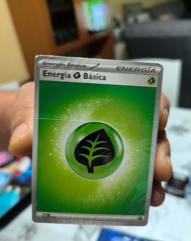 2024 The Pokémon Company Basic Grass Energy 001 — front