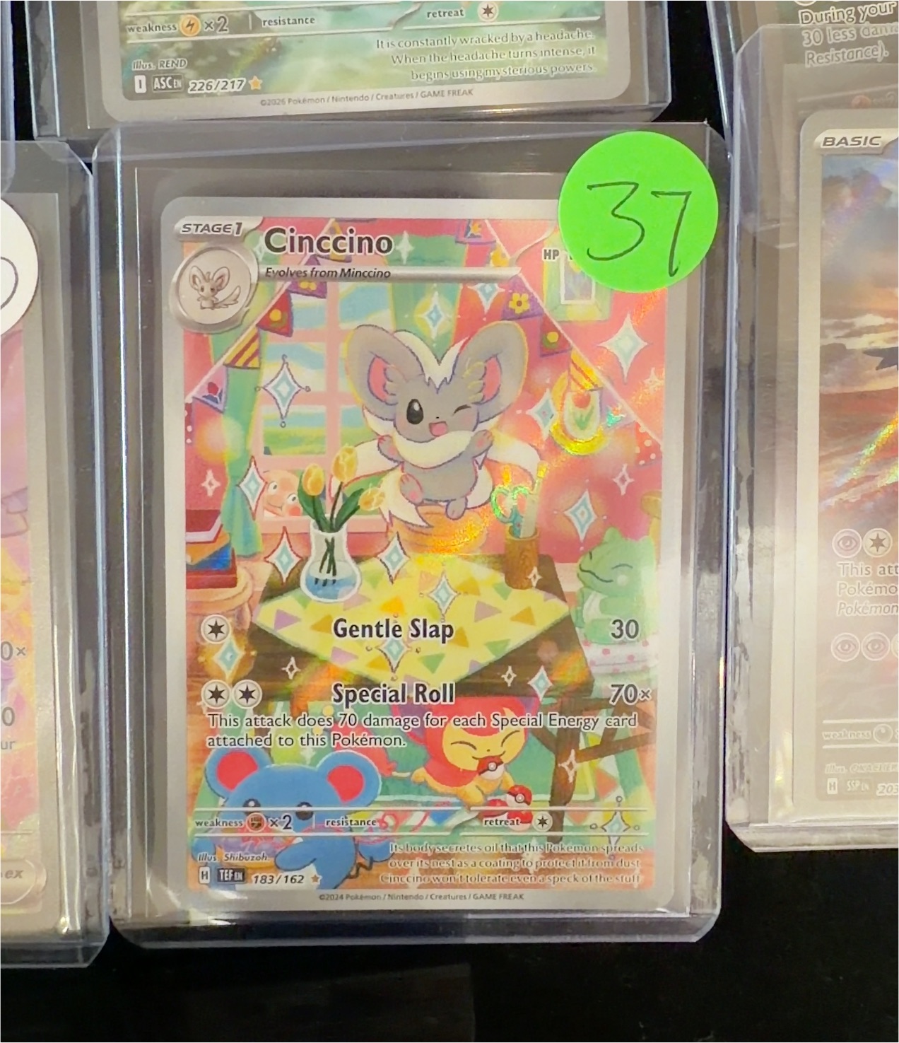 2024 Pokémon 183 Cinccino — front