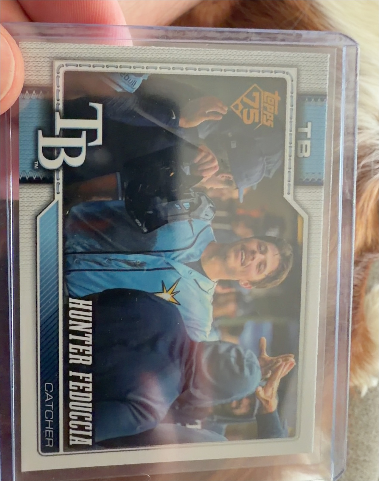 2026 Topps Series 2 #408 Hunter Fejescia — front