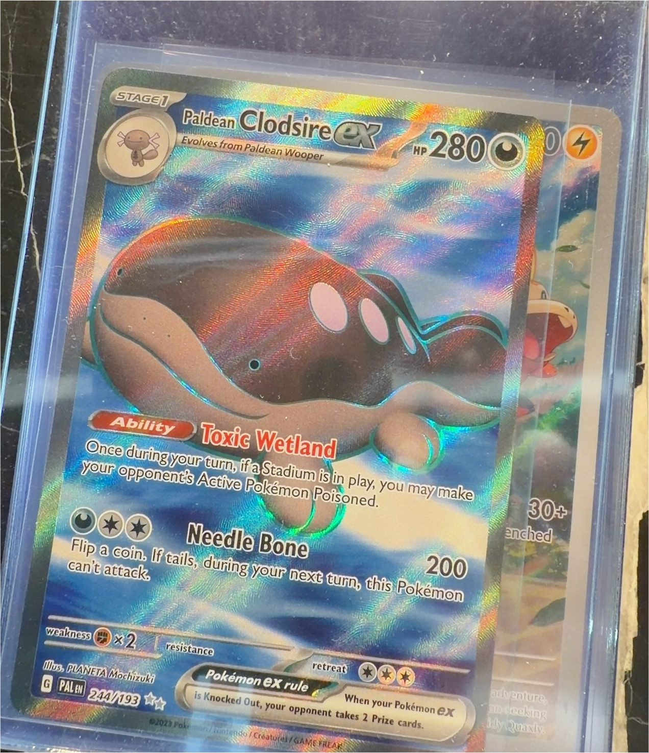2023 Pokémon Paldean Clodsire ex #244 — front