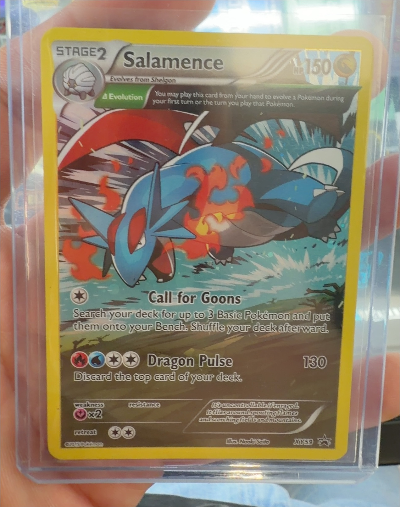 Pokemon Promo #XY59 Salamence — front