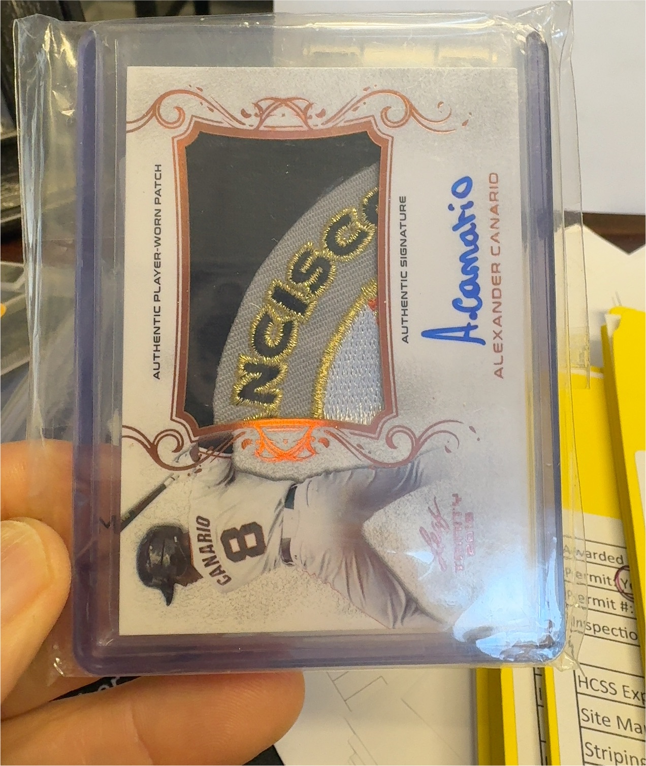 2018 Leaf Trinity Patch Autographs #PA-AC1 Alexander Canario — front