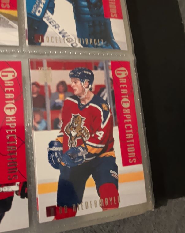 1994 Donruss #113 Rob Niedermayer — front