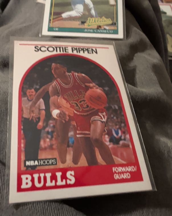 1989 Hoops #244 Scottie Pippen — front