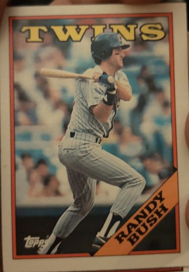 1988 Topps #73 Randy Bush — front