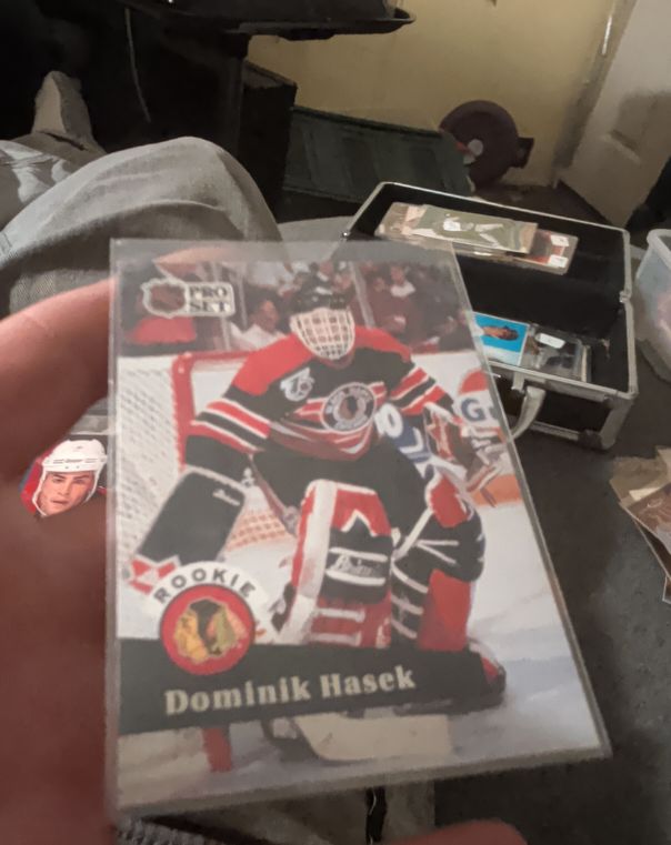 1991 Pro Set #529 Dominik Hasek — front