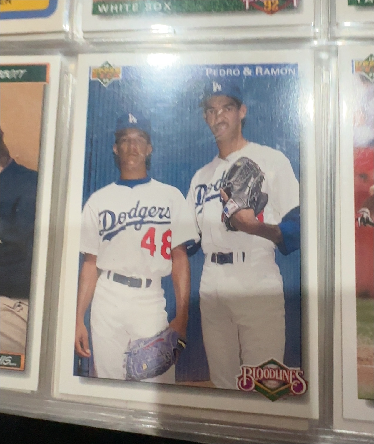 1992 Upper Deck #79 Pedro & Ramon Martinez — front