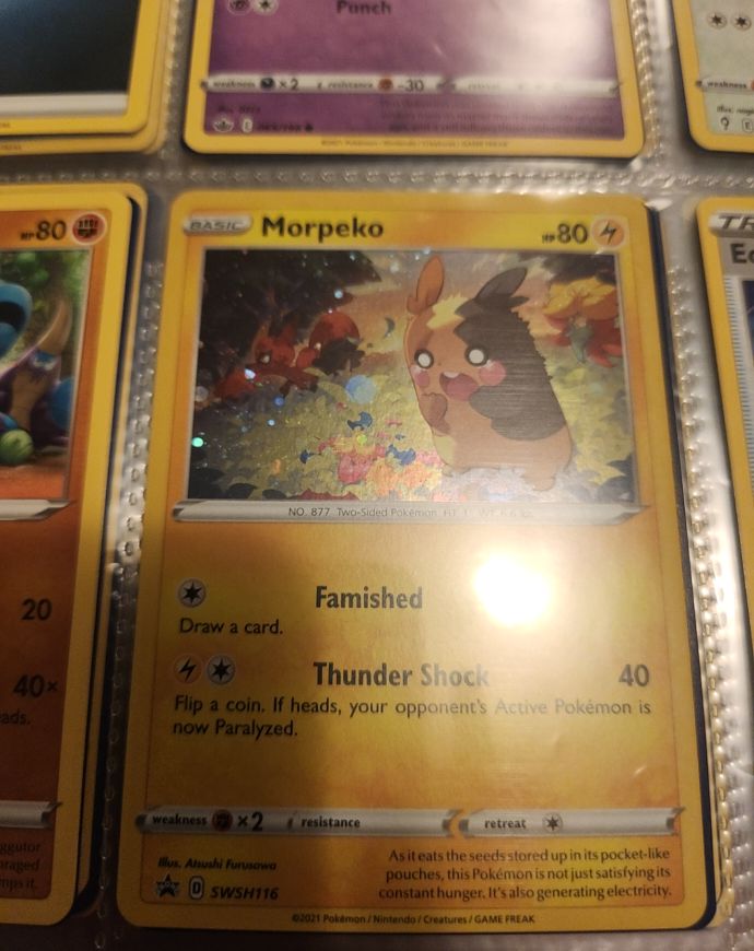 Pokemon Promo #SWSH116 Morpeko — front